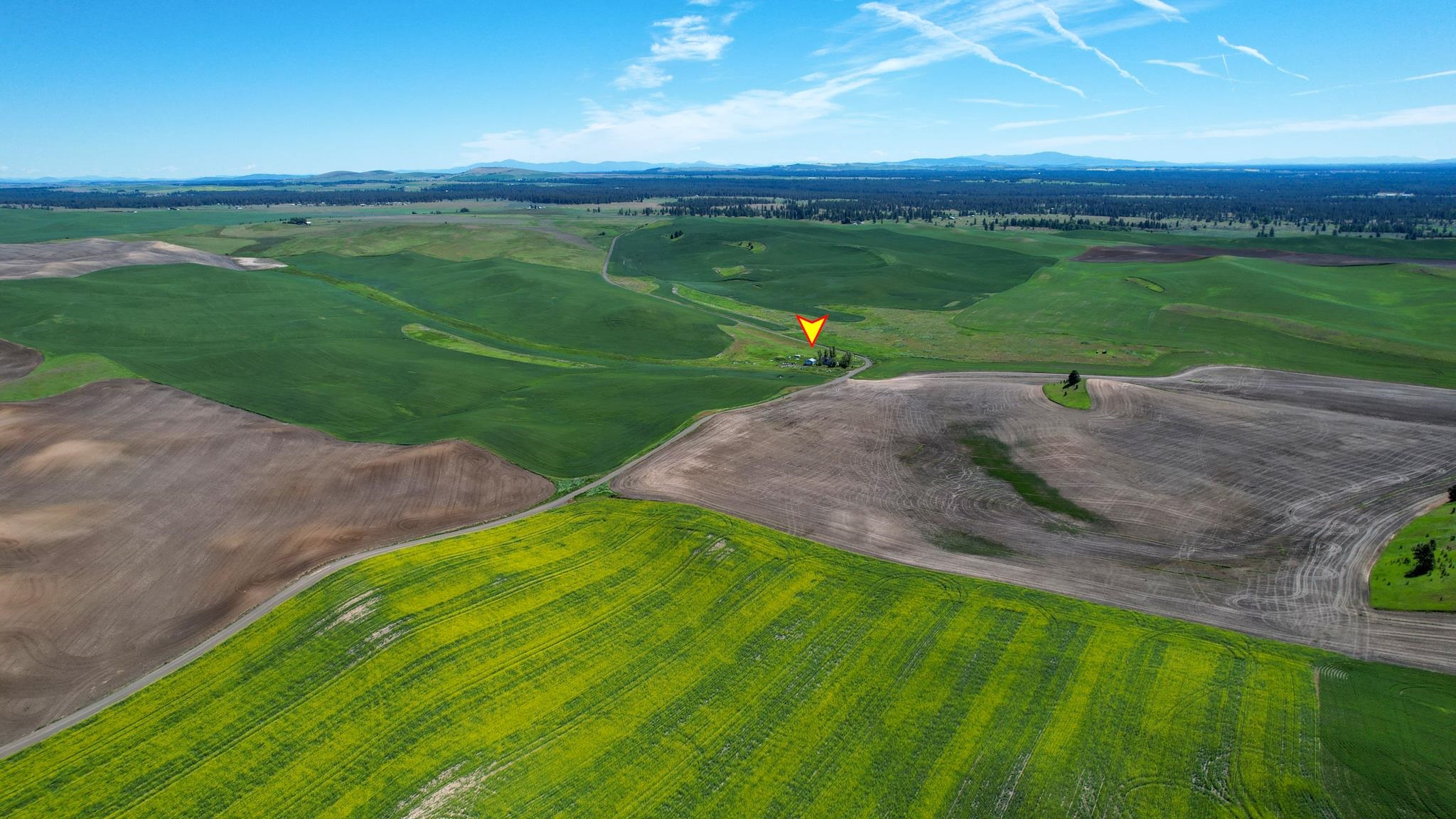 52681 Blomgren Road East Edwall, WA 99008 - Photo 49 of 50