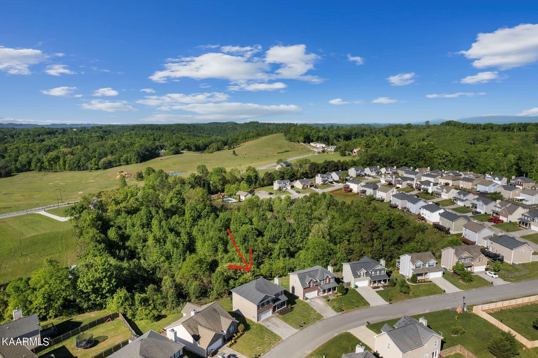 1825 Turning Point Road Powell, TN 37849 - Photo 10 of 40 a view of a city