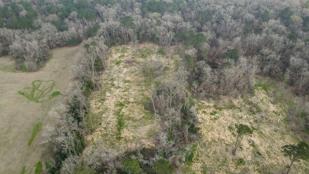 Lot 1 Davisville Road Lufkin, TX 75901 - Photo 19 of 45