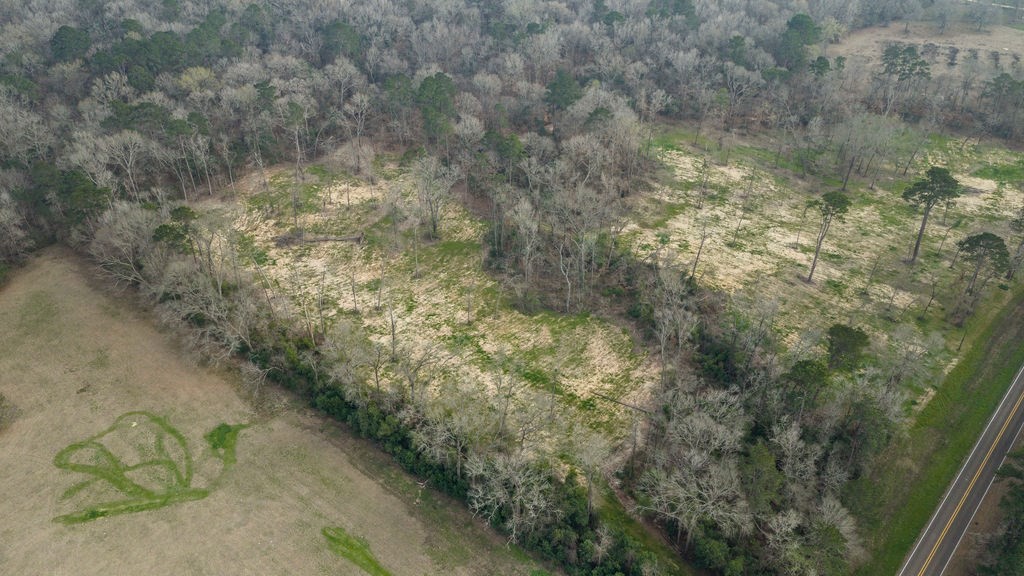 Lot 1 Davisville Road Lufkin, TX 75901 - Photo 20 of 45