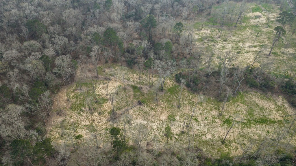 Lot 1 Davisville Road Lufkin, TX 75901 - Photo 21 of 45