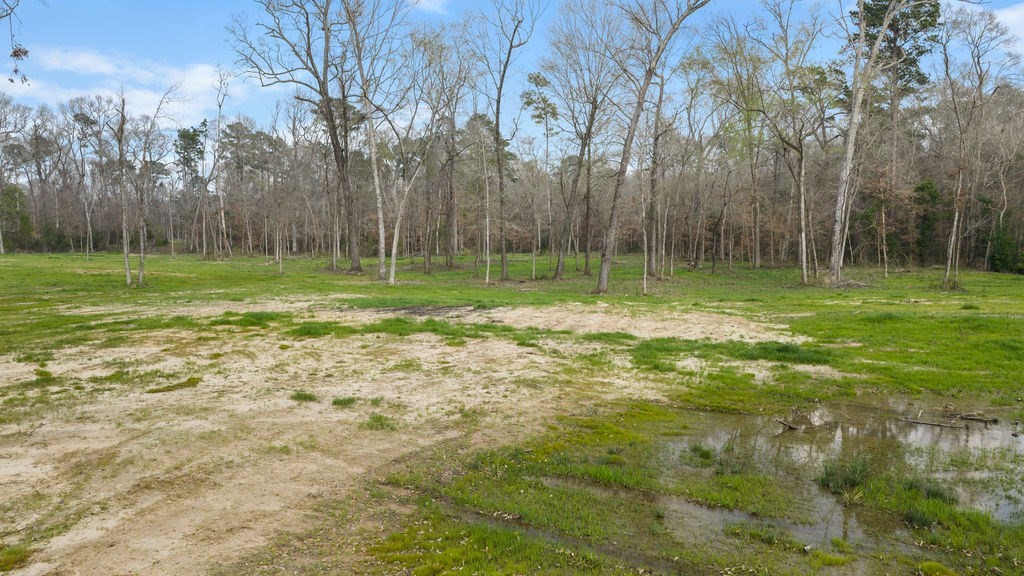 Lot 1 Davisville Road Lufkin, TX 75901 - Photo 23 of 45