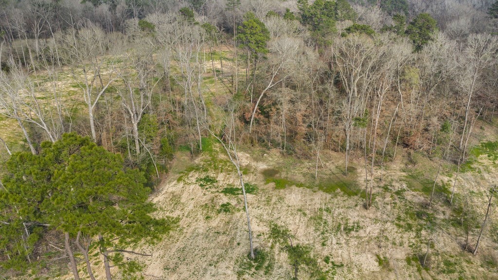 Lot 1 Davisville Road Lufkin, TX 75901 - Photo 26 of 45