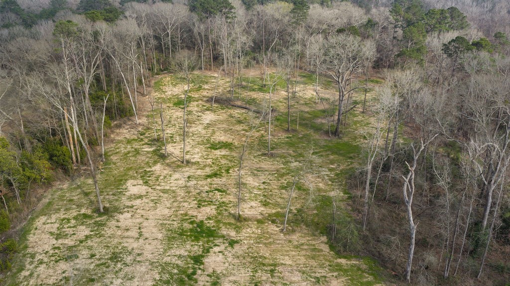 Lot 1 Davisville Road Lufkin, TX 75901 - Photo 27 of 45
