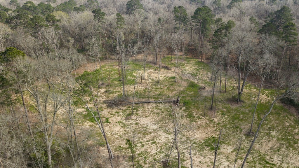 Lot 1 Davisville Road Lufkin, TX 75901 - Photo 28 of 45