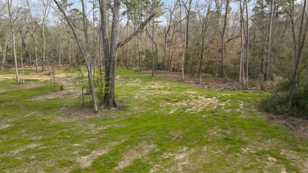 Lot 1 Davisville Road Lufkin, TX 75901 - Photo 29 of 45