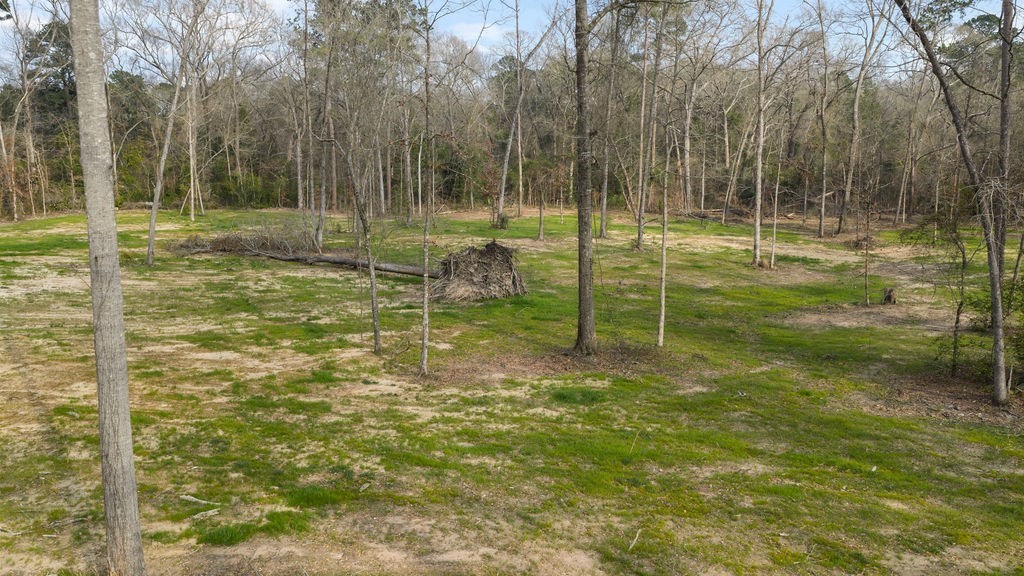 Lot 1 Davisville Road Lufkin, TX 75901 - Photo 30 of 45