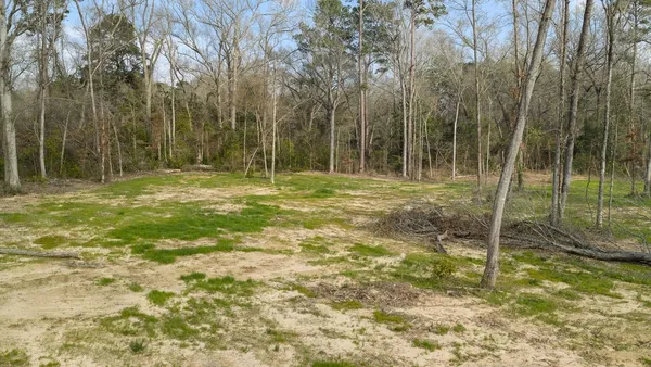 $60,000 | Lot 1 Davisville Road, Lufkin, TX 75901