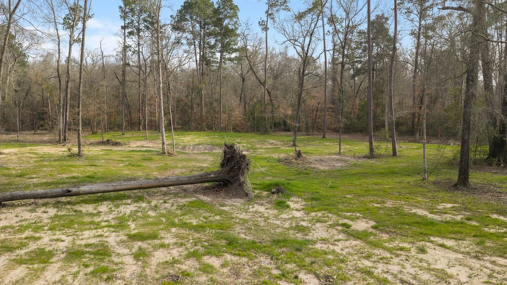 Lot 1 Davisville Road Lufkin, TX 75901 - Photo 33 of 45