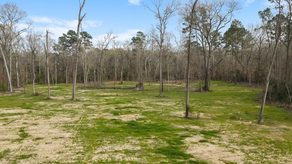 Lot 1 Davisville Road Lufkin, TX 75901 - Photo 35 of 45