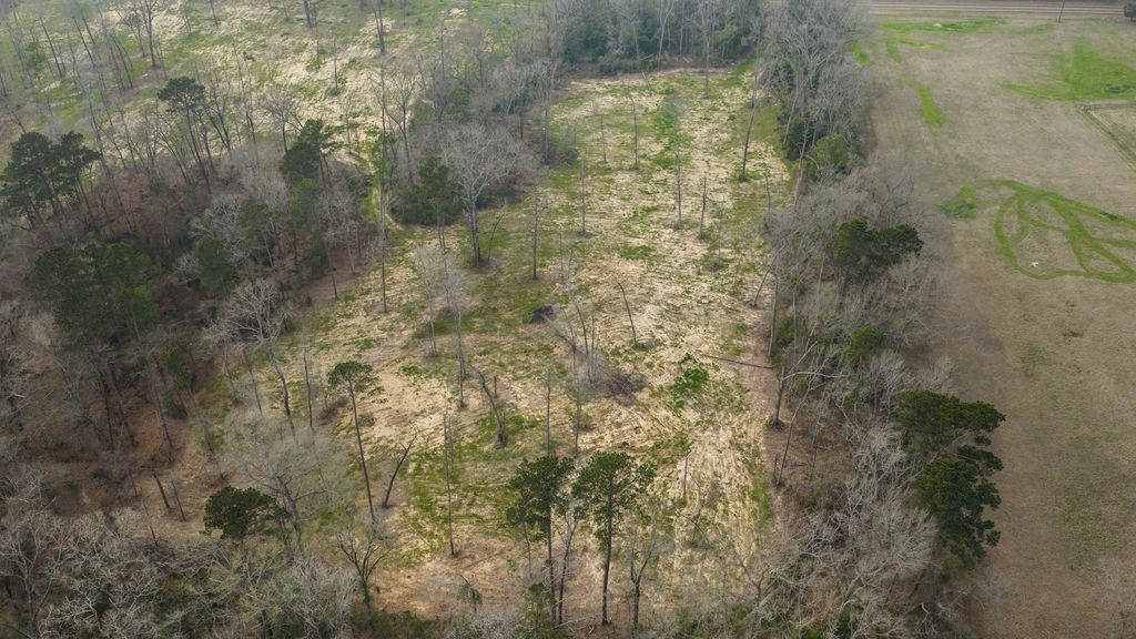 Lot 1 Davisville Road Lufkin, TX 75901 - Photo 42 of 45
