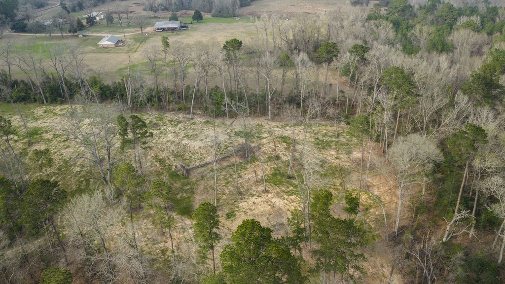 Lot 1 Davisville Road Lufkin, TX 75901 - Photo 45 of 45