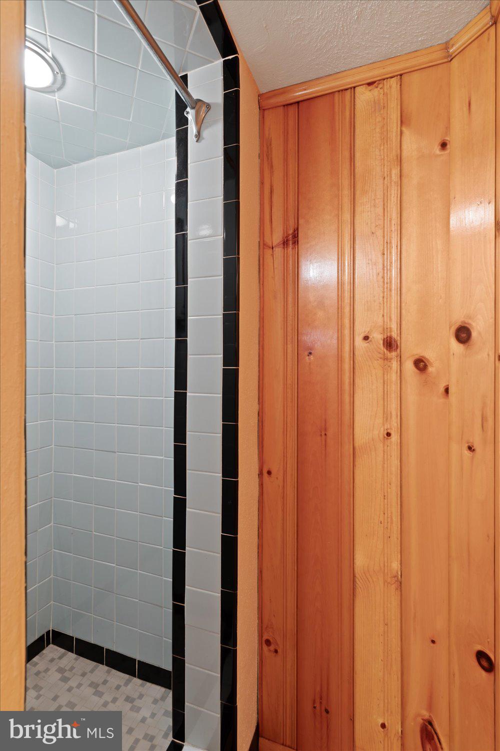 578 Owen Road York, PA 17403 - Photo 56 of 75 Stand up Shower
