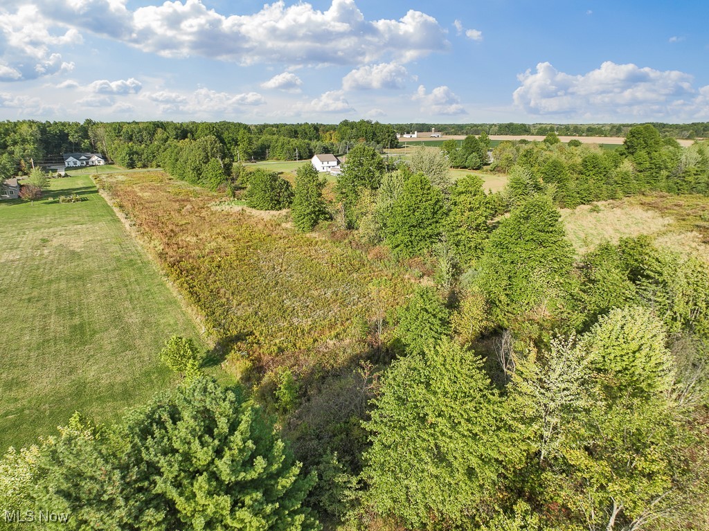 34645 Dye Road Columbia Station, OH 44028 - Photo 8 of 18 Aerial overview of property's location featuring a heavily wooded area and rural landscape