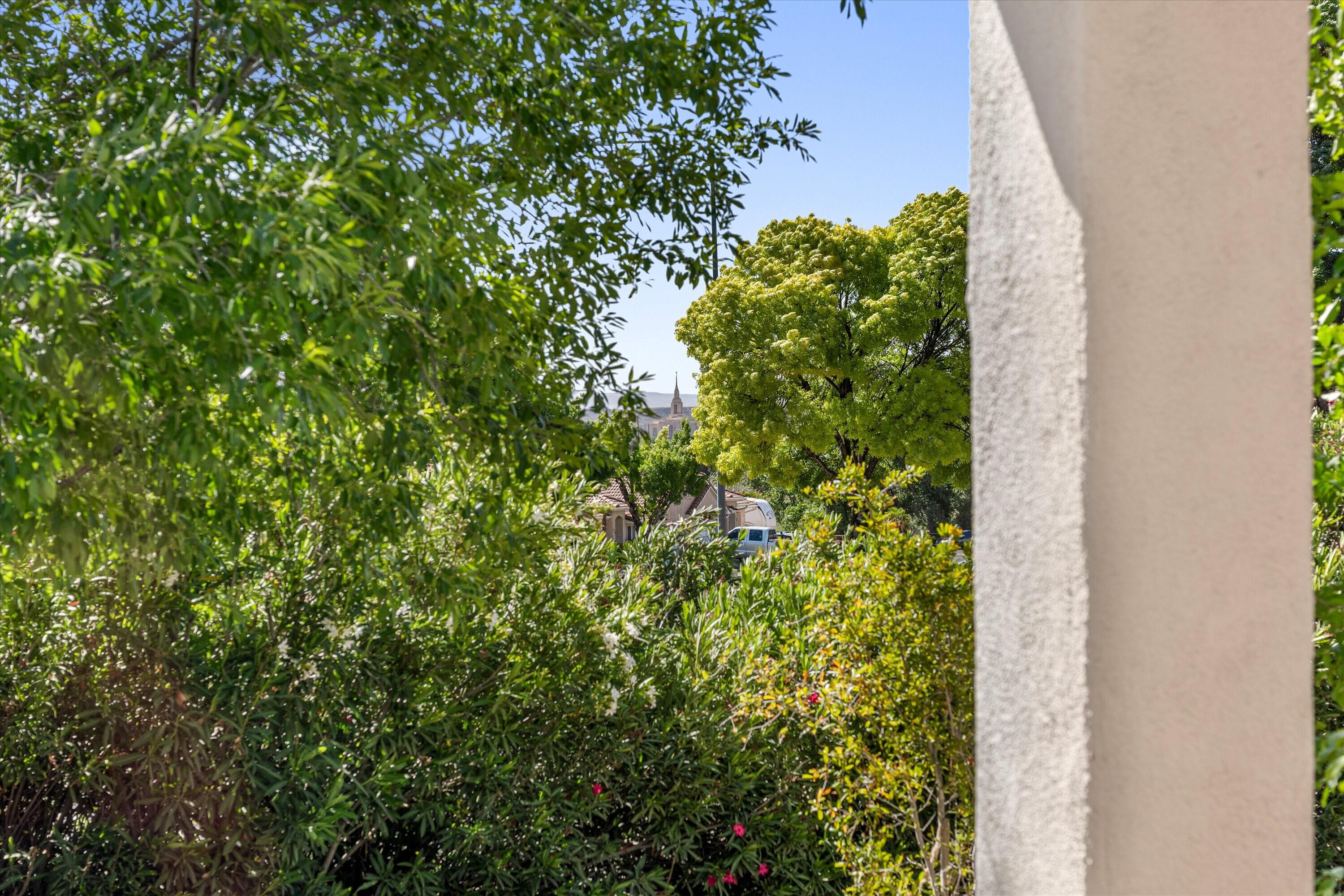 2721 East Riverside Drive, Unit 38 St. George, UT 84790 - Photo 34 of 47 Backyard