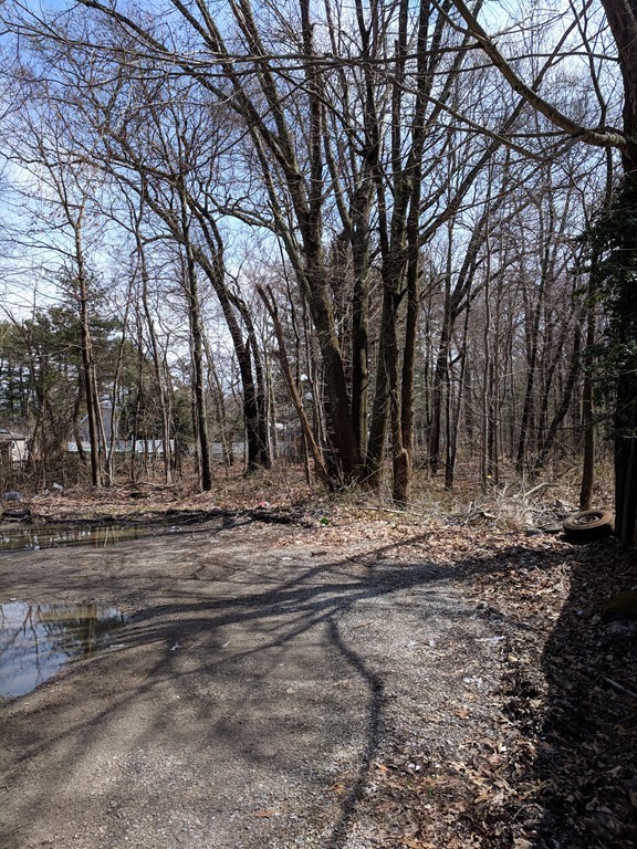 107 Spring Street Rockland, MA 02370 - Photo 5 of 6