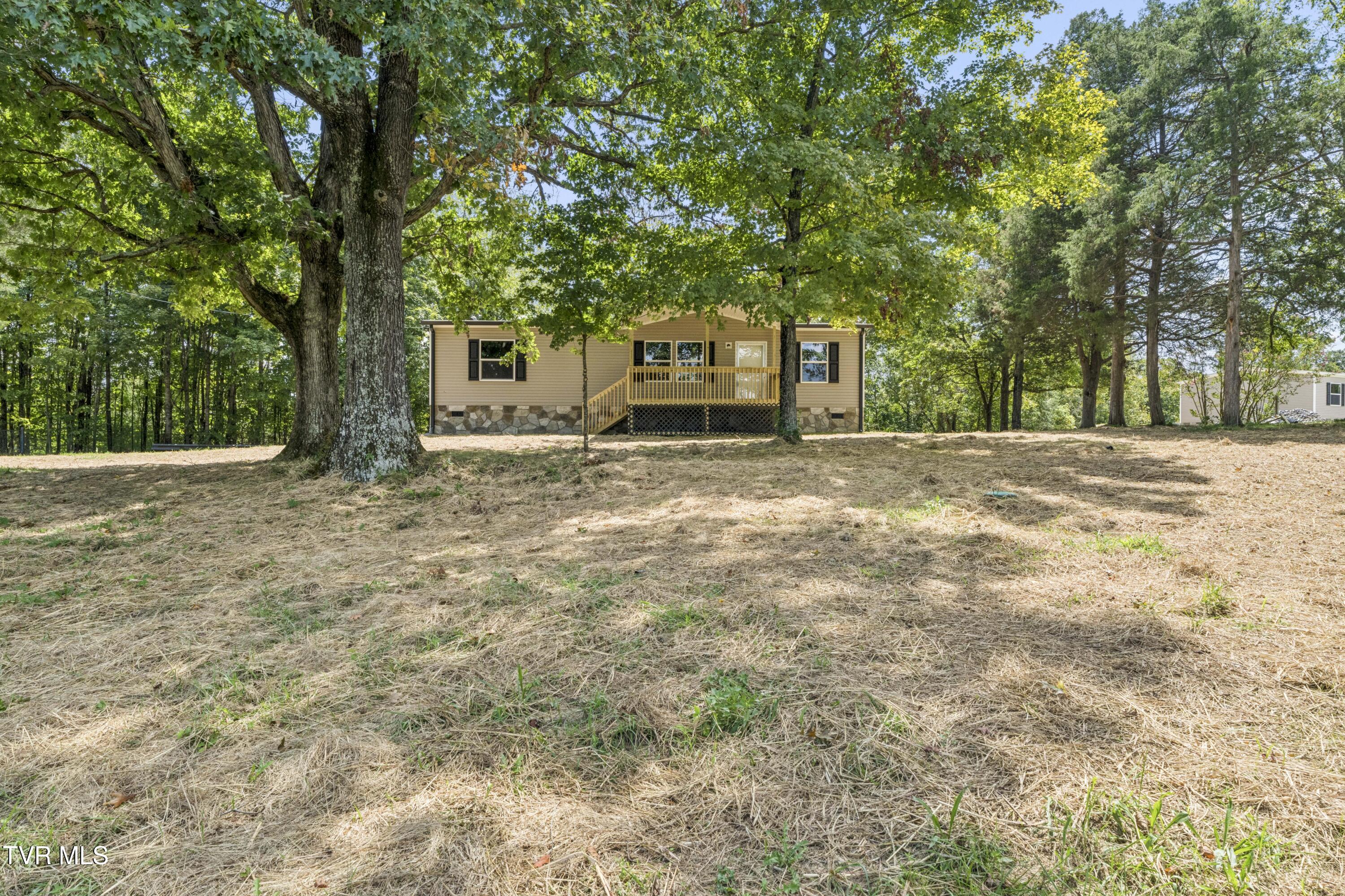 170 Bertie Patton Road Mosheim, TN 37818 - Photo 39 of 44 Bernie-39