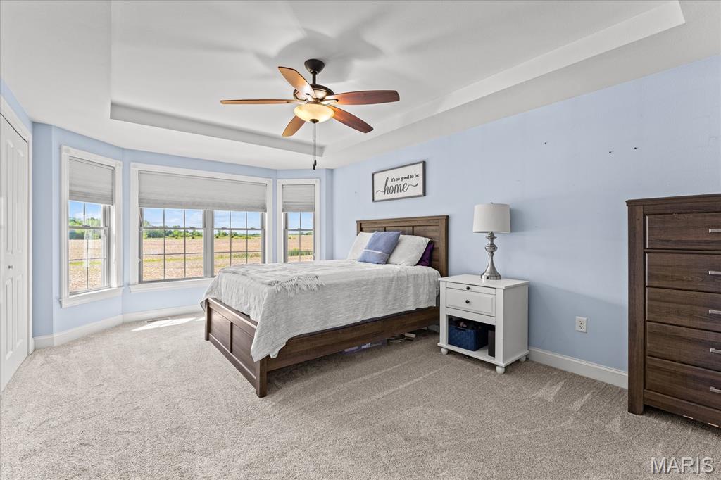 278 Shadowbrooke Troy, IL 62294 - Photo 8 of 19