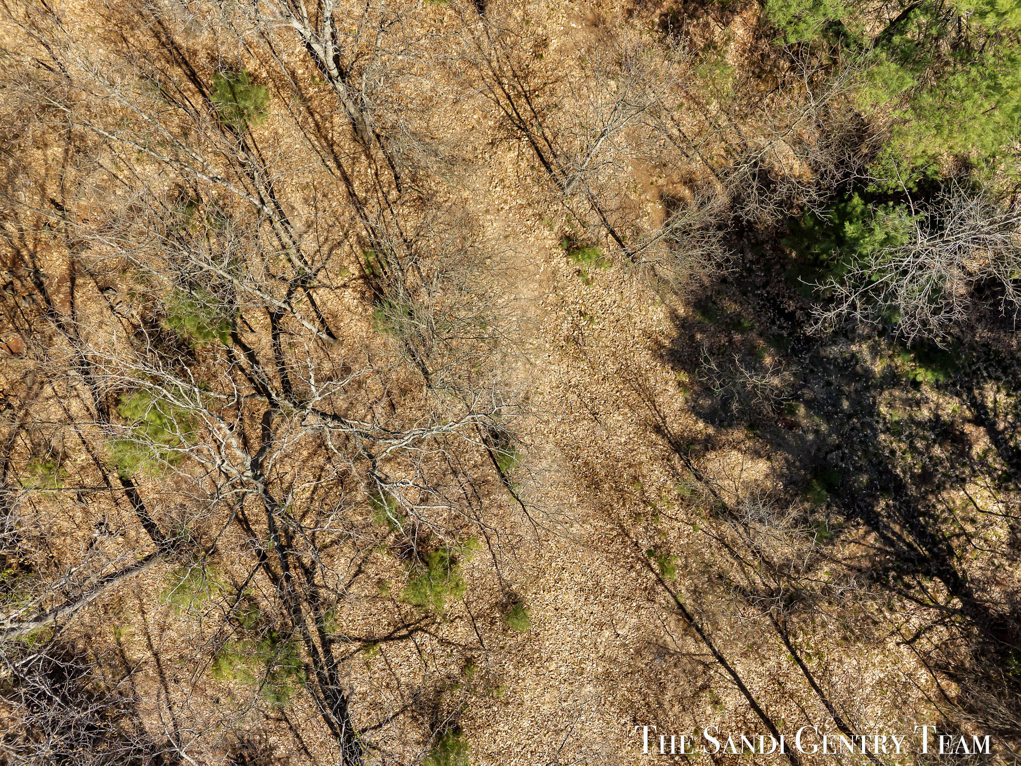 Whitehall Road Whitehall, MI 49461 - Photo 11 of 13 DJI_20260514163239_0348_D_KYLE