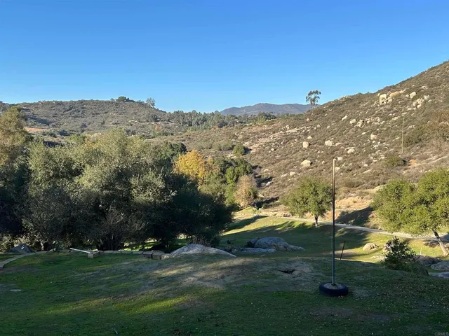 a view of a field with a tree in the background