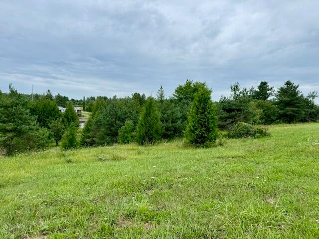 Lot 4 Mograin Cheboygan, MI 49721 - Photo 20 of 24 Park Like 1