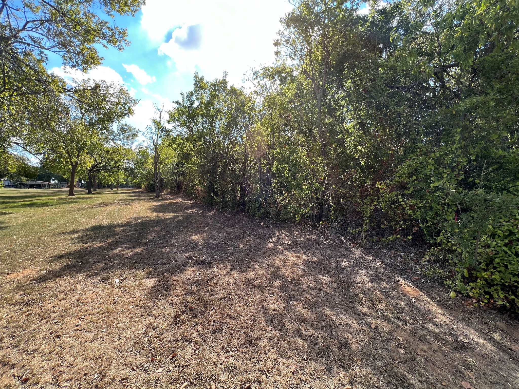 529 Madison Street Elgin, TX 78621 - Photo 7 of 13 Back side view of lot