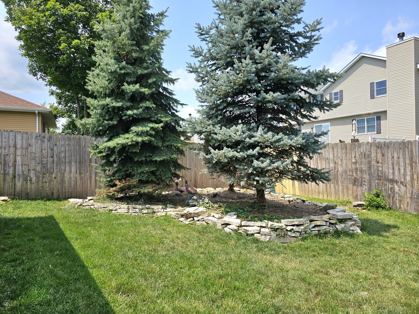 25028 Cashel Bay Road Manhattan, IL 60442 - Photo 27 of 32 a view of backyard with tree