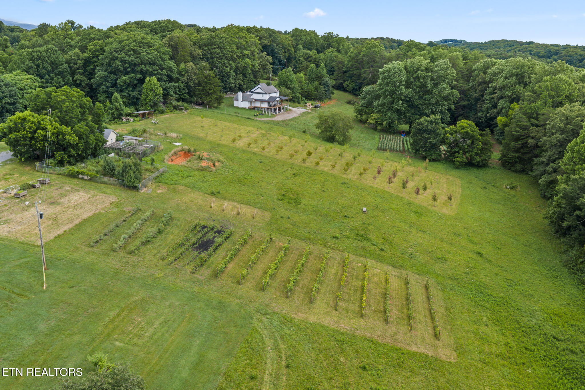 260 Long Hollow Road Clinton, TN 37716 - Photo 16 of 47 17-web-or-mls-620 Long Hollow-083