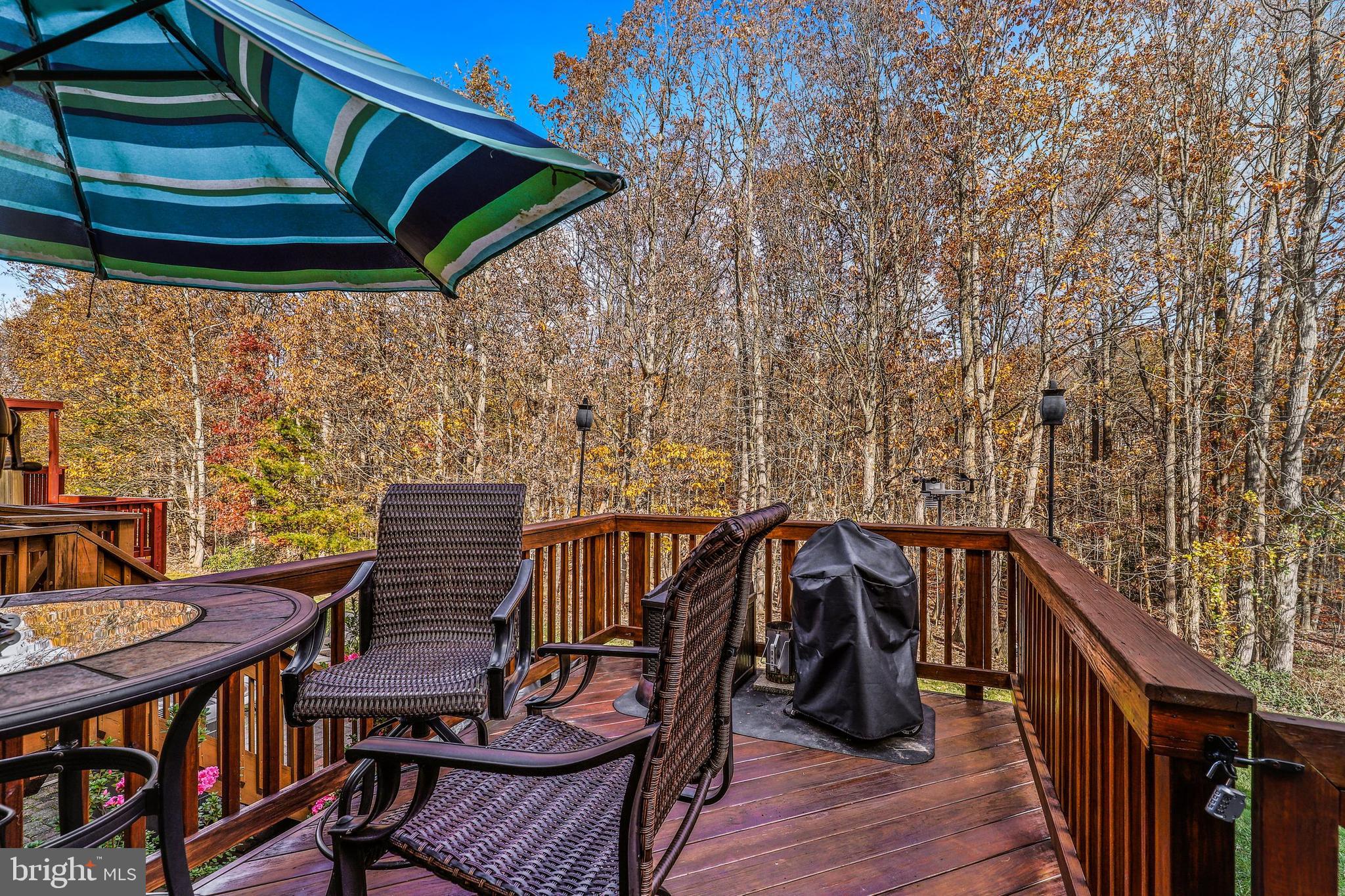 2526 Summers Ridge Drive Odenton, MD 21113 - Photo 30 of 35 Gallery Image 30