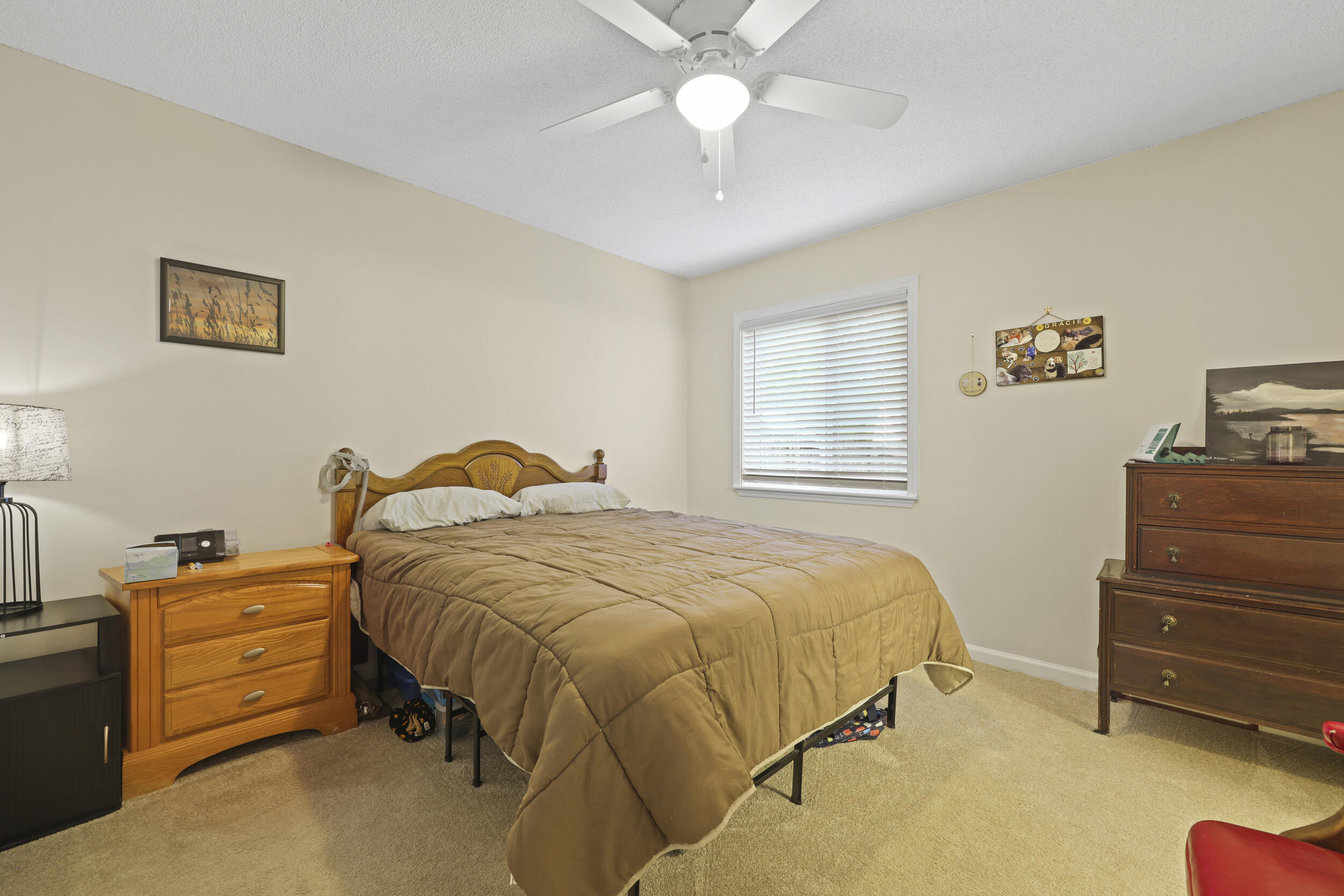 18 Rudwick Circle Goose Creek, SC 29445 - Photo 15 of 29 Primary Bedroom