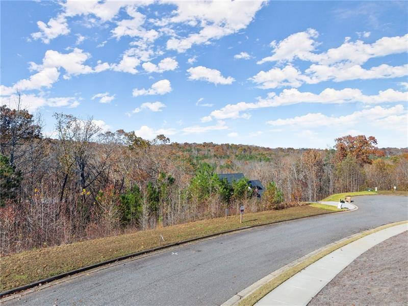 6415 Tranquillity Manor Road Dawsonville, GA 30534 - Photo 16 of 25 a view of a road with a yard