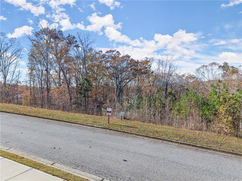 6415 Tranquillity Manor Road Dawsonville, GA 30534 - Photo 17 of 25 a view of a yard with wooden fence