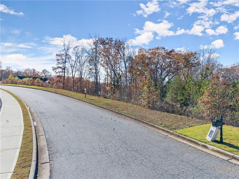 6415 Tranquillity Manor Road Dawsonville, GA 30534 - Photo 18 of 25 a view of a swimming pool with a yard