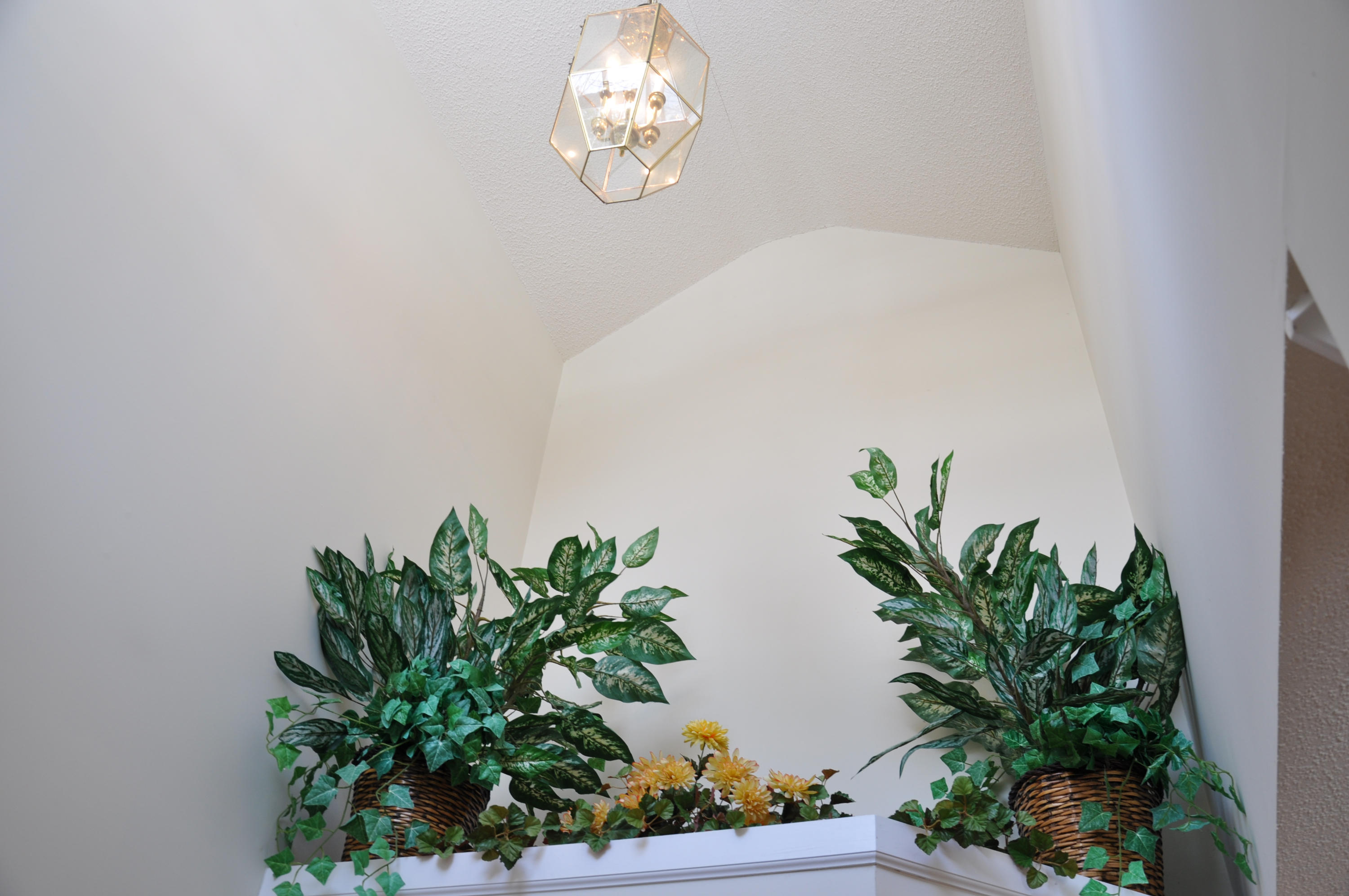 3116 Cunningham Road, Unit B5 Knoxville, TN 37918 - Photo 10 of 20 foyer