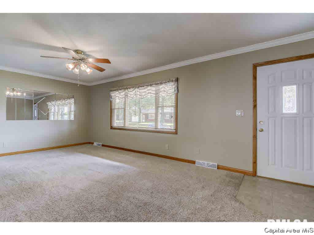 1103 Ruth Place Pawnee, IL 62558 - Photo 13 of 34 Gallery Image 13