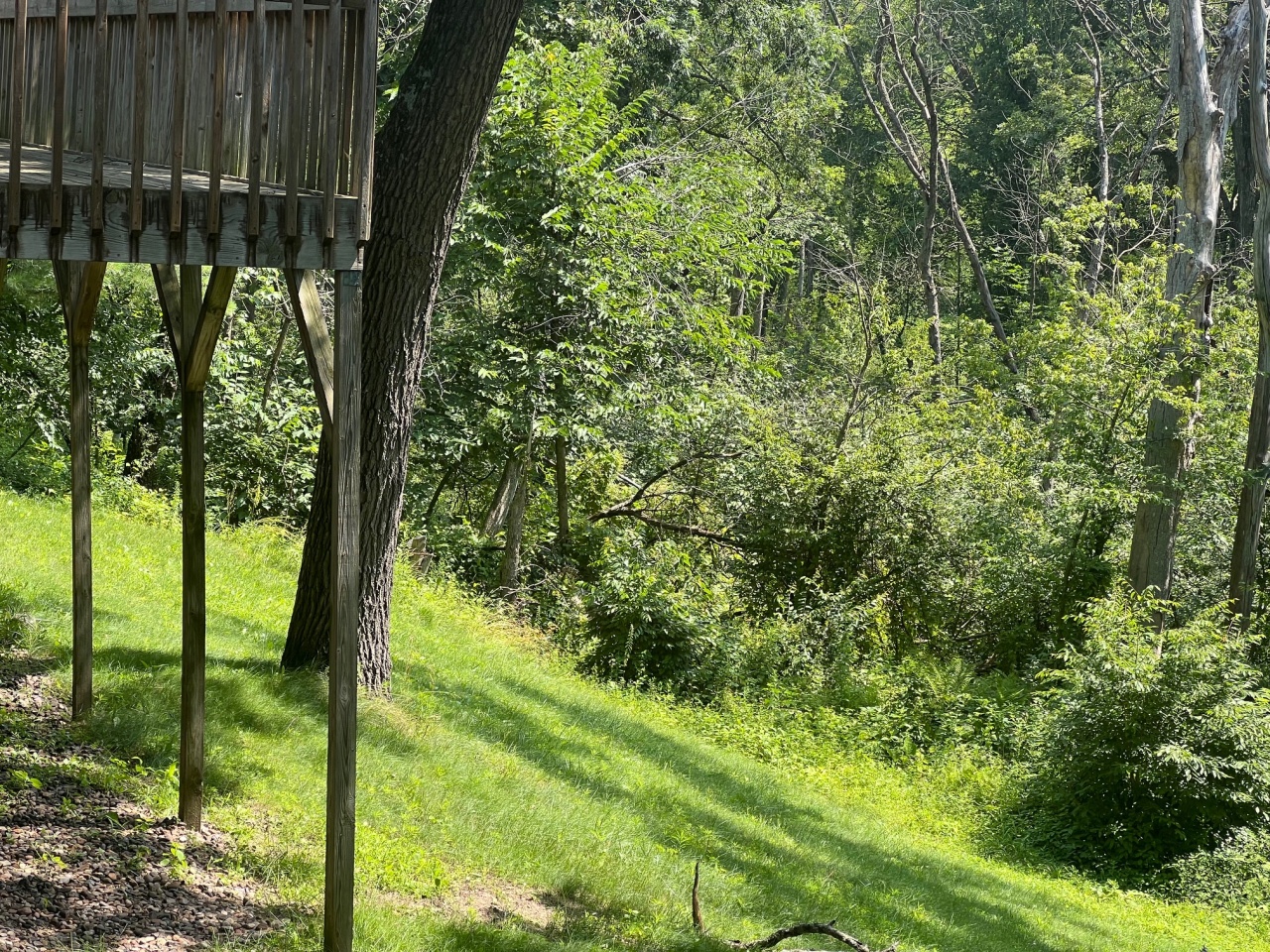 N5488 Highway 54 Albion, WI 54615 - Photo 41 of 46 View from lower level walkout