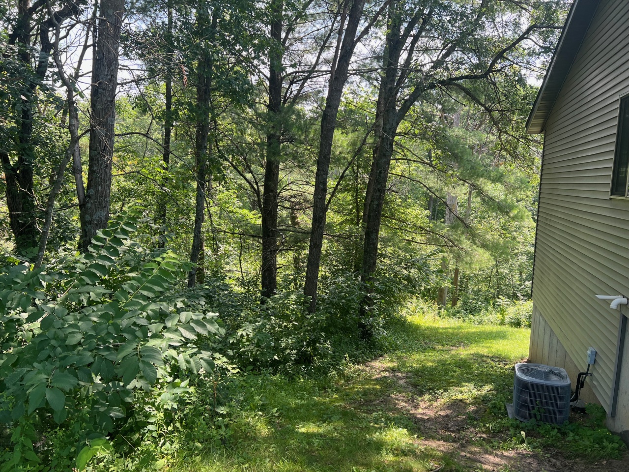 N5488 Highway 54 Albion, WI 54615 - Photo 42 of 46 Sideyard