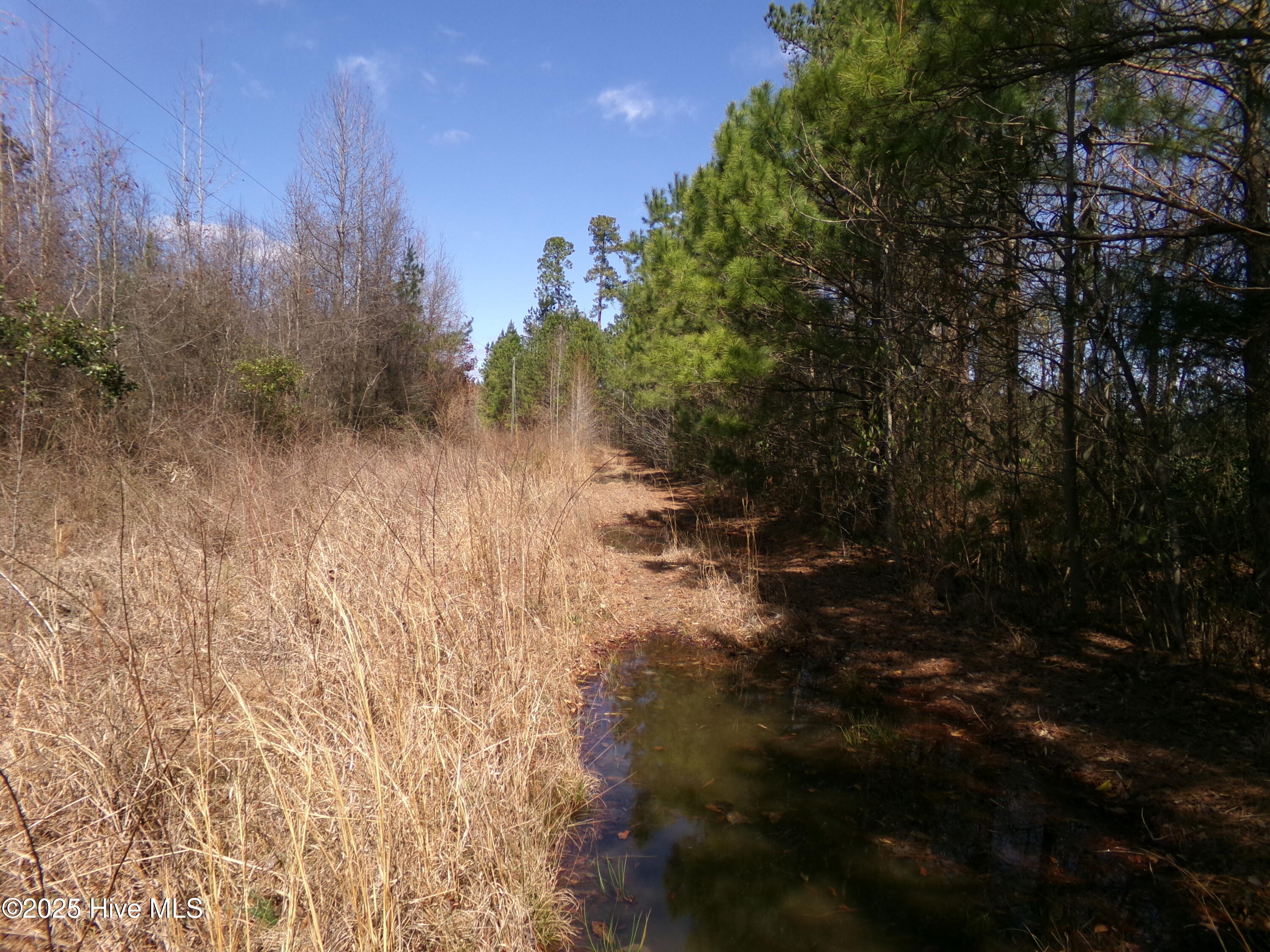 4766 Old Wire Road Red Springs, NC 28377 - Photo 1 of 14