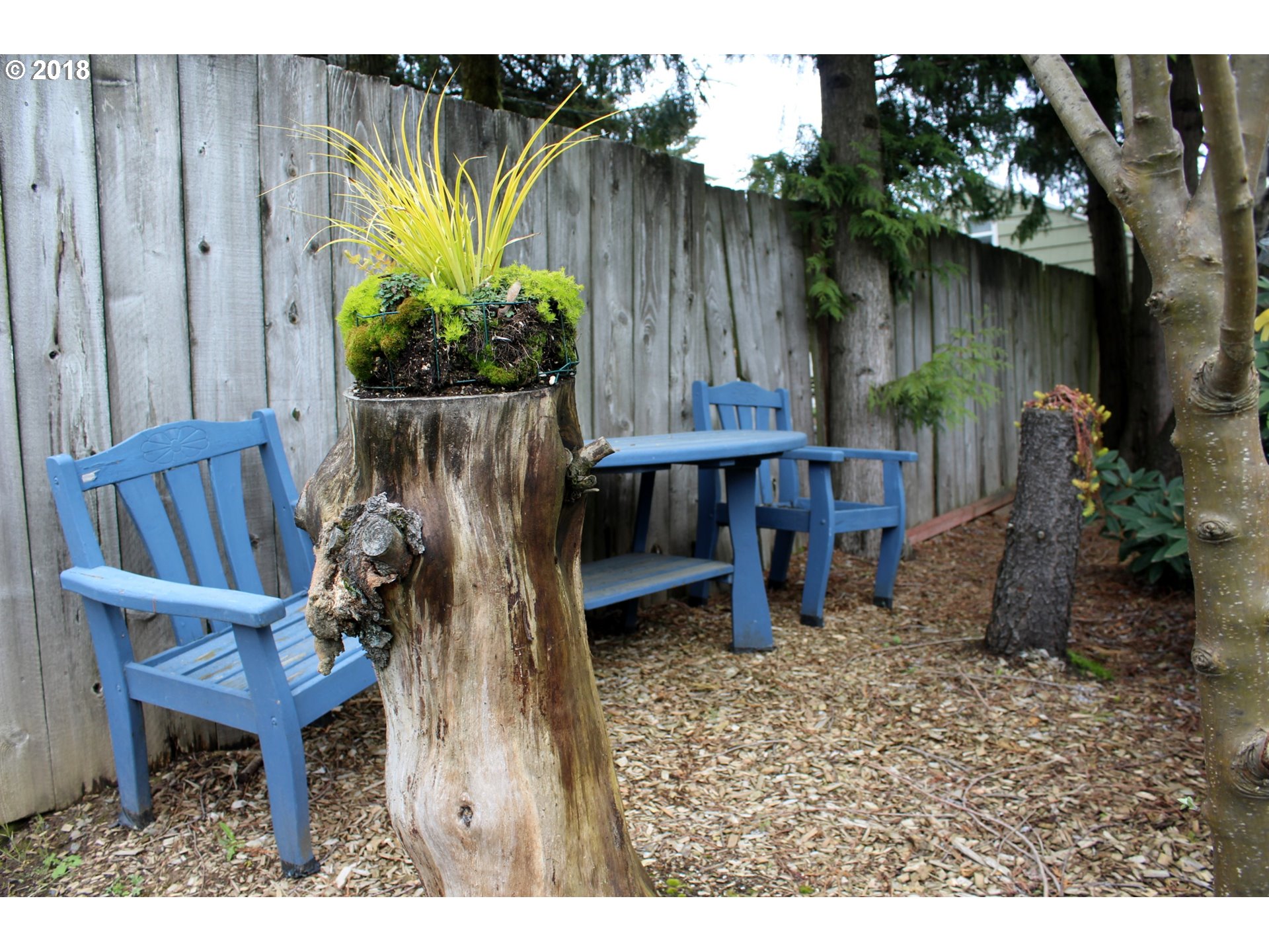 4517 Southwest Taylors Ferry Road Portland, OR 97219 - Photo 24 of 26 Yard