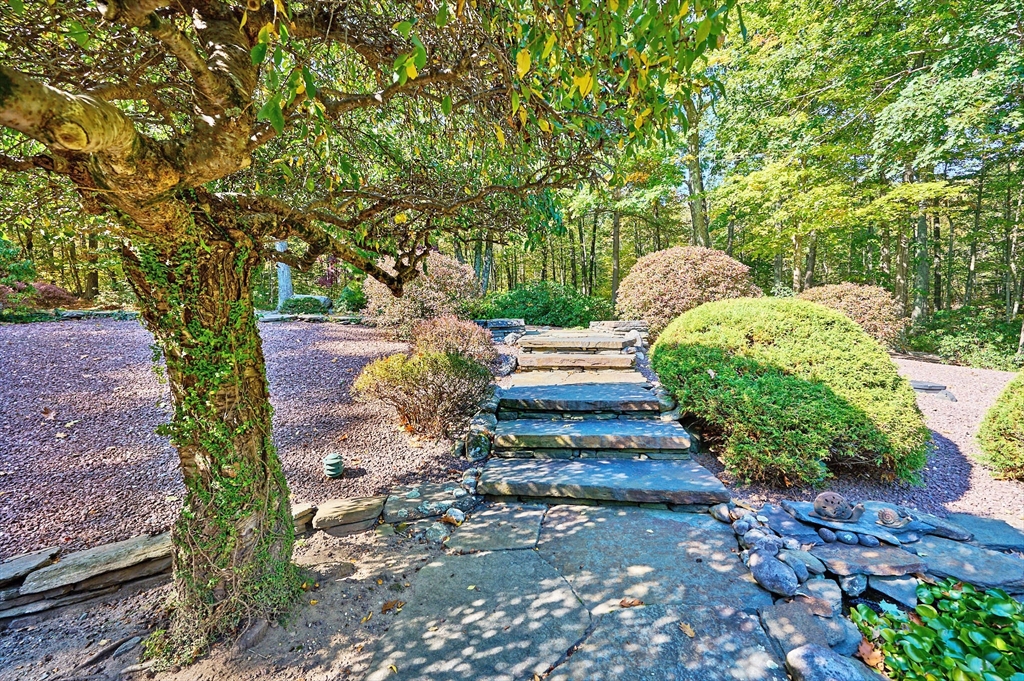 72 Crooked Ledge Road Southampton, MA 01073 - Photo 35 of 42 a view of a garden with large trees