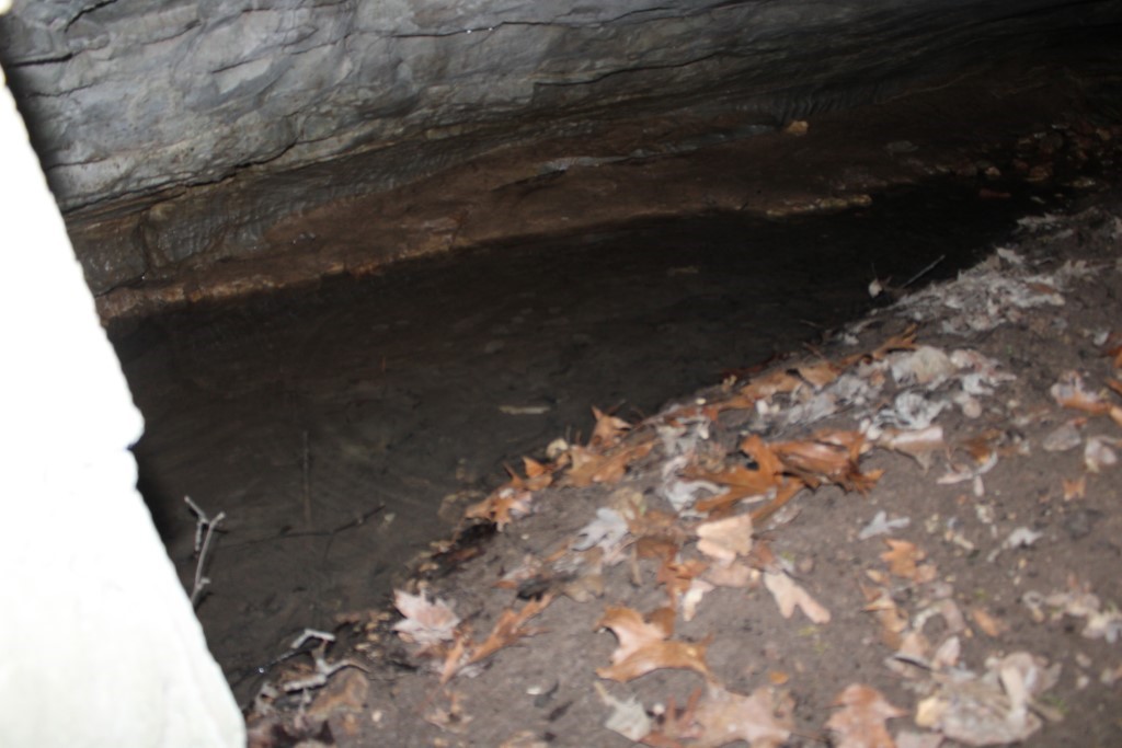 416 New Hope Road Marshall, AR 72650 - Photo 34 of 60 spring behind wall