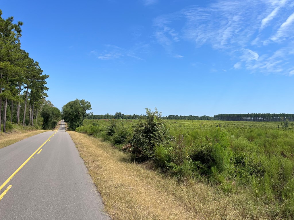 . Pea Market Road Columbia, AL 36319 - Photo 4 of 6