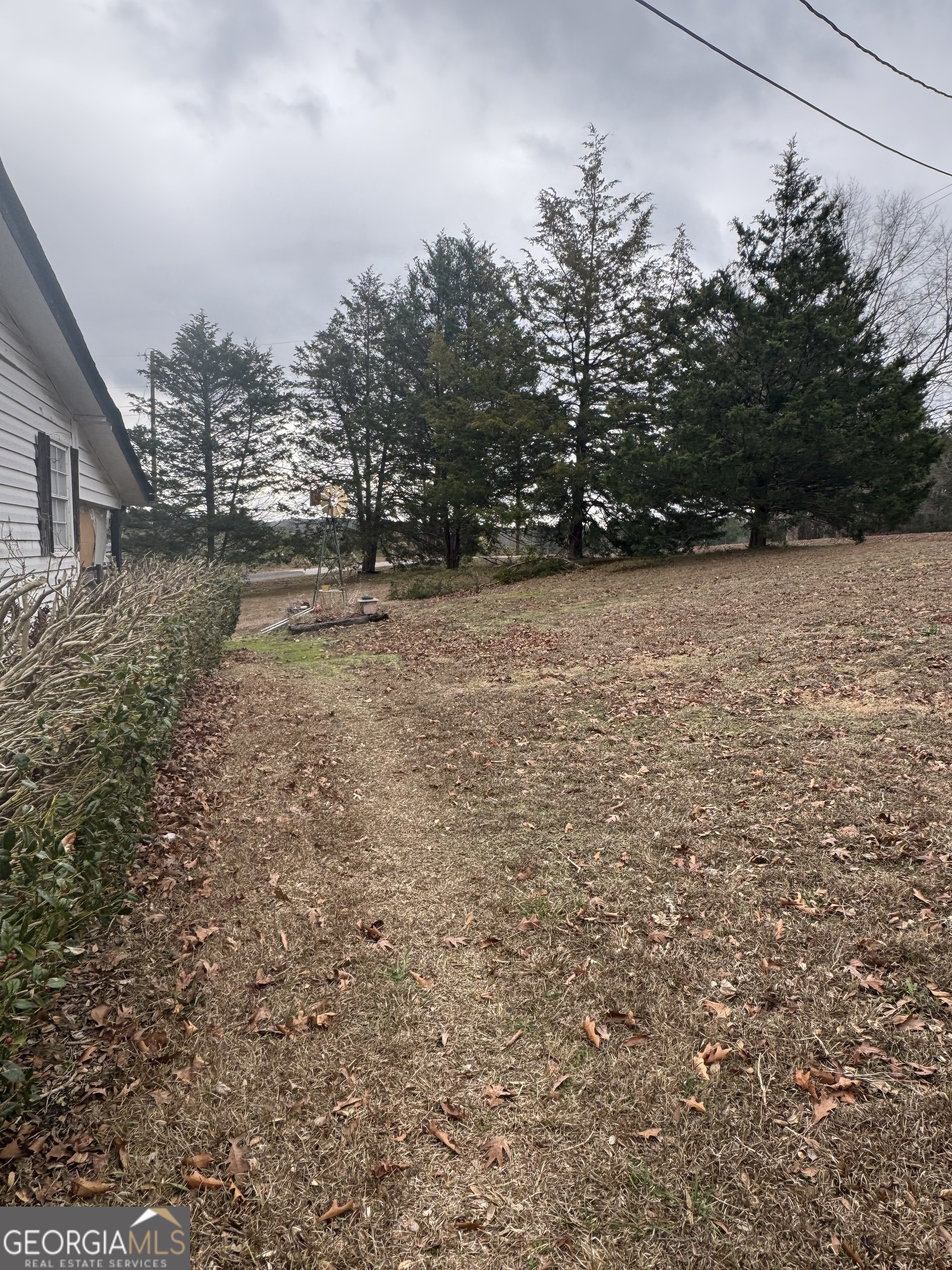 29 Settlement Road Dallas, GA 30132 - Photo 12 of 13 a view of a yard with trees