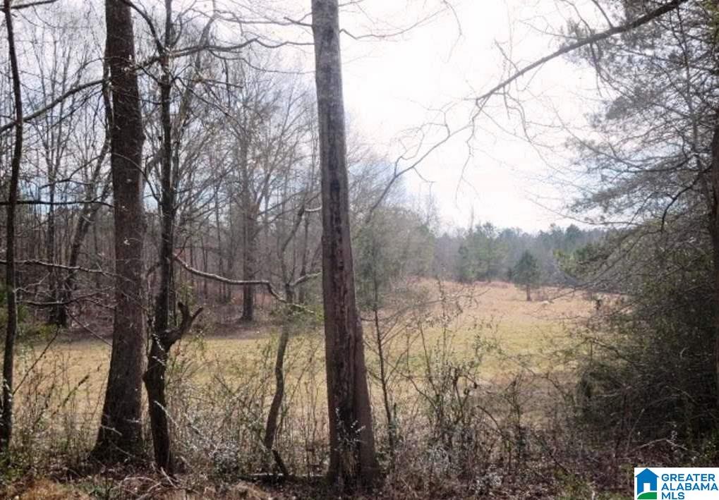 853 Bailey Road Cragford, AL 36255 - Photo 25 of 39