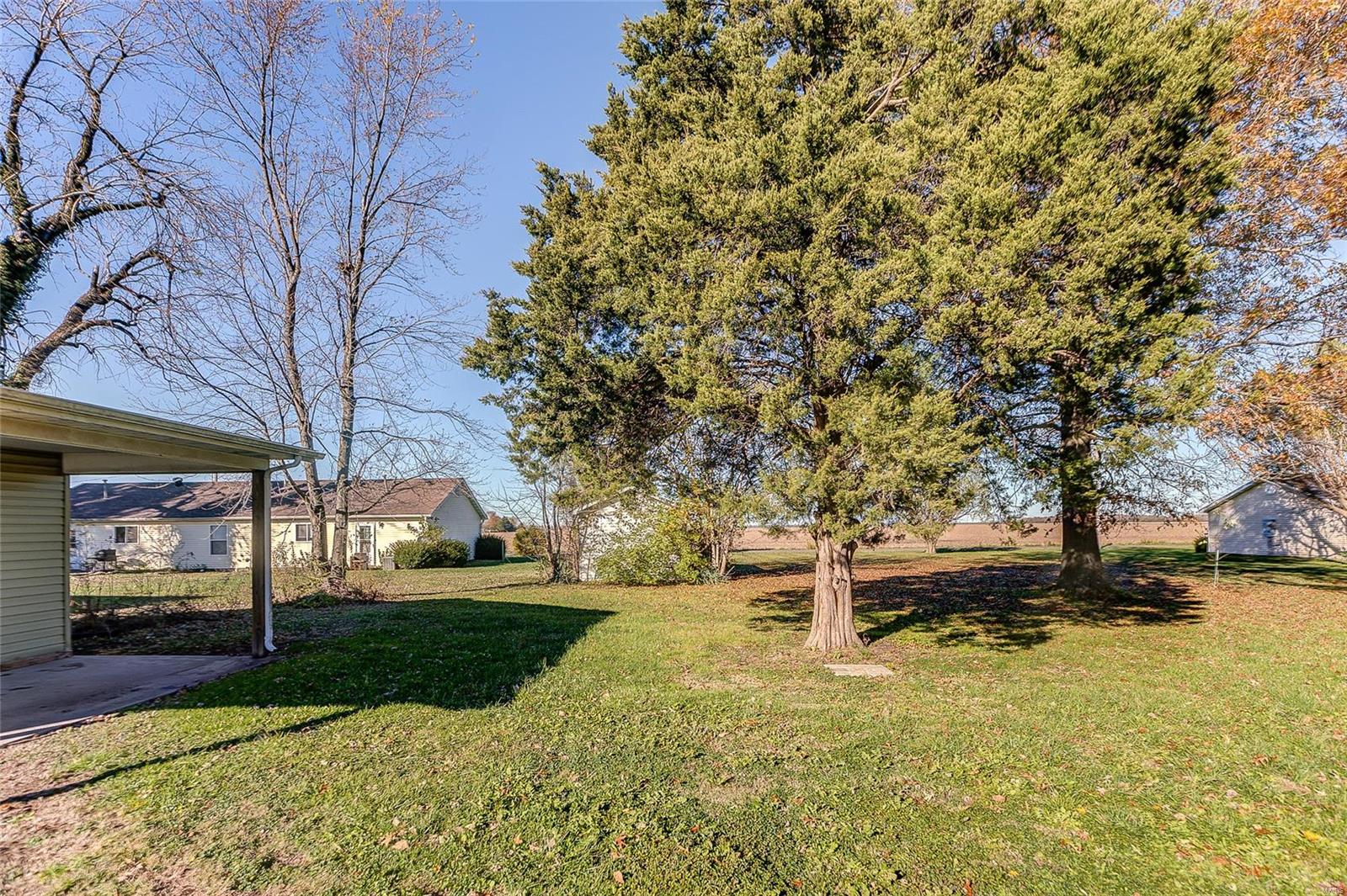 617 Mor Street Gillespie, IL 62033 - Photo 15 of 18