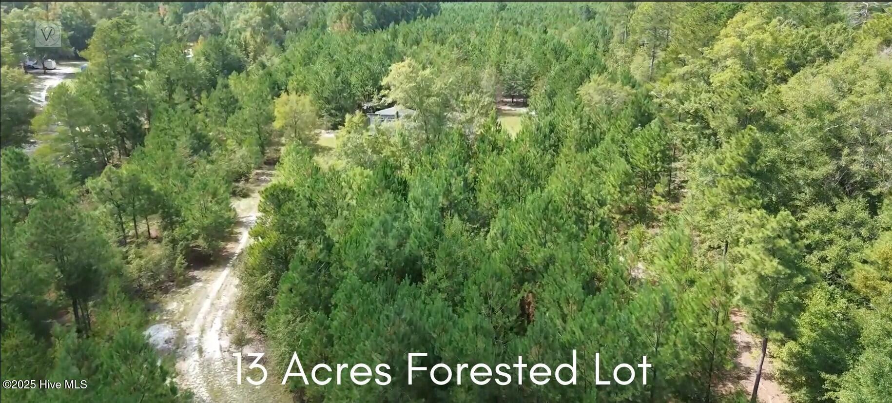 16369 Palmer Road Marston, NC 28363 - Photo 2 of 11 16369 Palmer Rd_Aerial_5