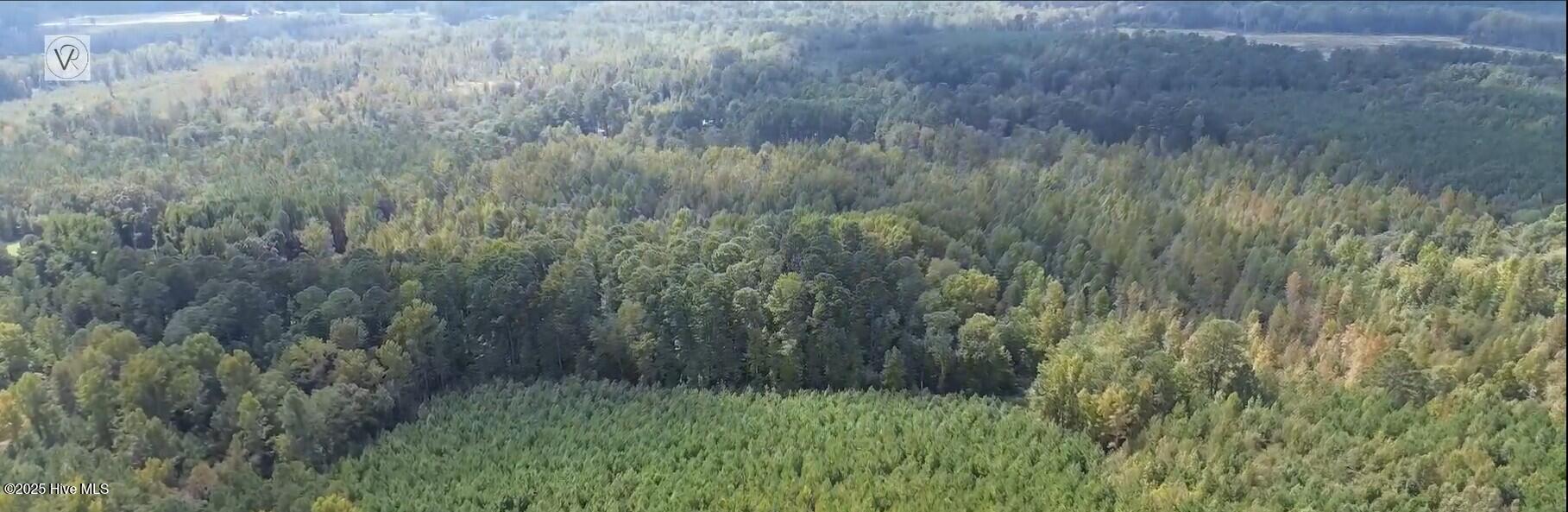 16369 Palmer Road Marston, NC 28363 - Photo 3 of 11 16369 Palmer Rd_Aerial_2