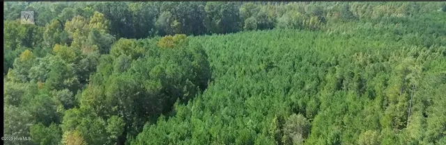 $300,000 | 16369 Palmer Road, Marston, NC 28363