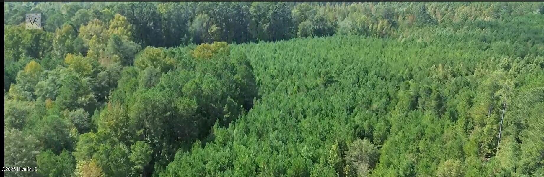 16369 Palmer Road Marston, NC 28363 - Photo 4 of 11 16369 Palmer Rd_Aerial_3