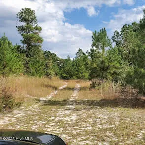 $300,000 | 16369 Palmer Road, Marston, NC 28363